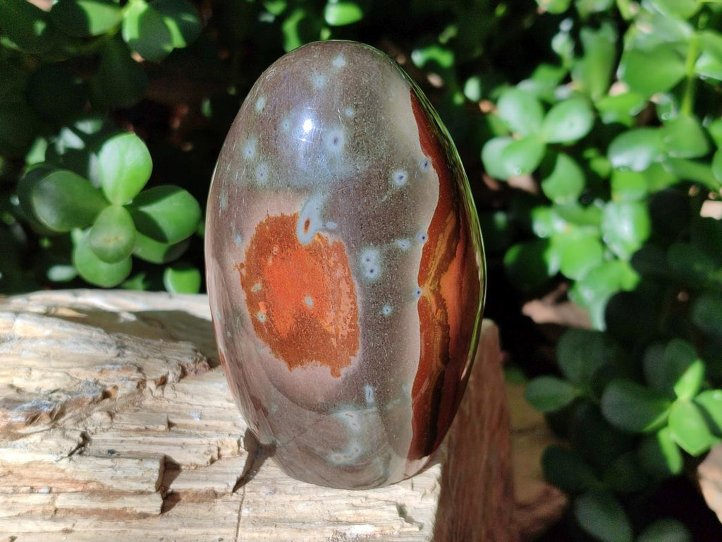 Polished Polychrome Jasper Standing Free Forms x 4 From NW Coast, Madagascar - Toprock Gemstones and Minerals 