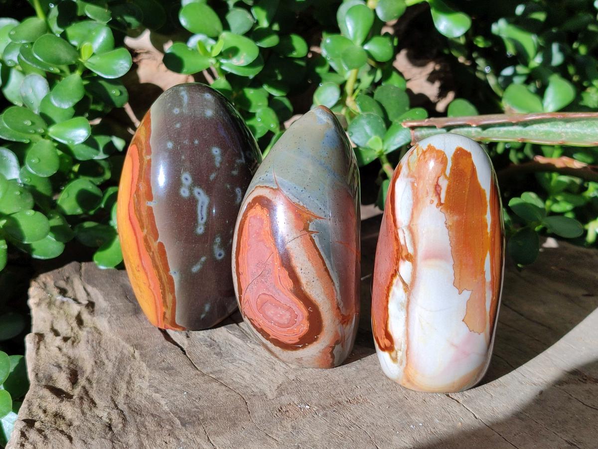 Polished Polychrome Jasper Standing Free Forms x 4 From NW Coast, Madagascar - Toprock Gemstones and Minerals 