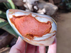 Polished Polychrome Jasper Standing Free Forms x 4 From NW Coast, Madagascar - Toprock Gemstones and Minerals 