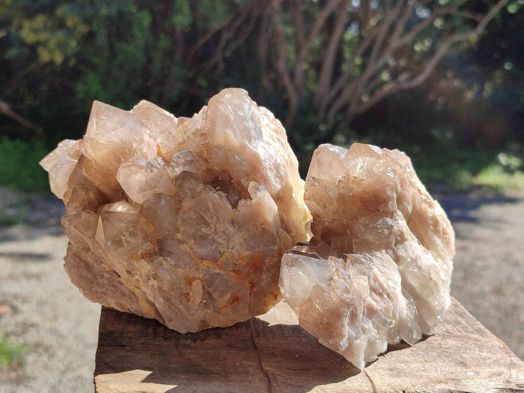 Natural Smokey Phantom Quartz Clusters x 4 From Luena, Congo - Toprock Gemstones and Minerals 