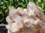 Natural Smokey Phantom Quartz Clusters x 4 From Luena, Congo - Toprock Gemstones and Minerals 