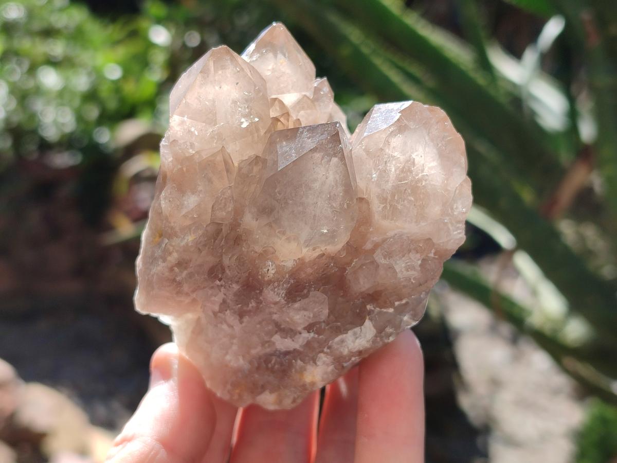 Natural Smokey Phantom Quartz Clusters x 4 From Luena, Congo - Toprock Gemstones and Minerals 