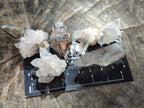 Natural Mixed Minerals of Brandberg Crystals and Clusters x 30 From Brandberg, Namibia - Toprock Gemstones and Minerals 