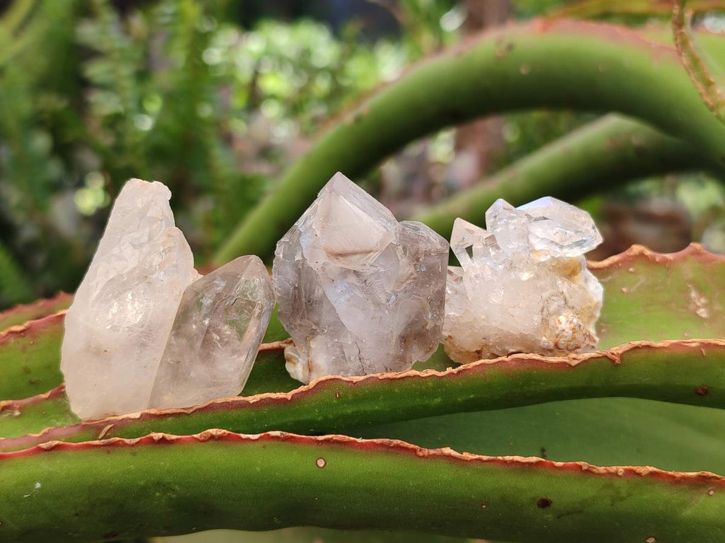 Natural Mixed Minerals of Brandberg Crystals and Clusters x 30 From Brandberg, Namibia - Toprock Gemstones and Minerals 