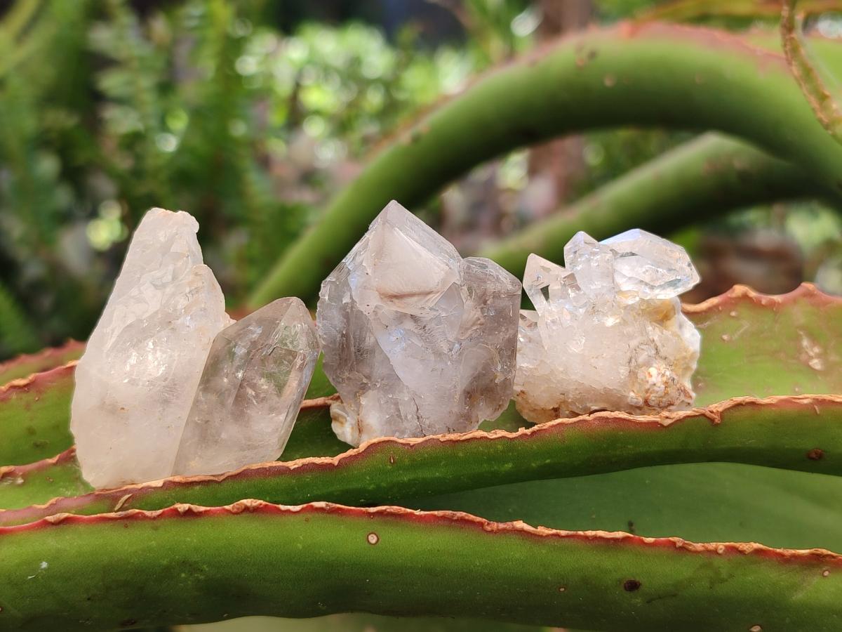 Natural Mixed Minerals of Brandberg Crystals and Clusters x 30 From Brandberg, Namibia - Toprock Gemstones and Minerals 