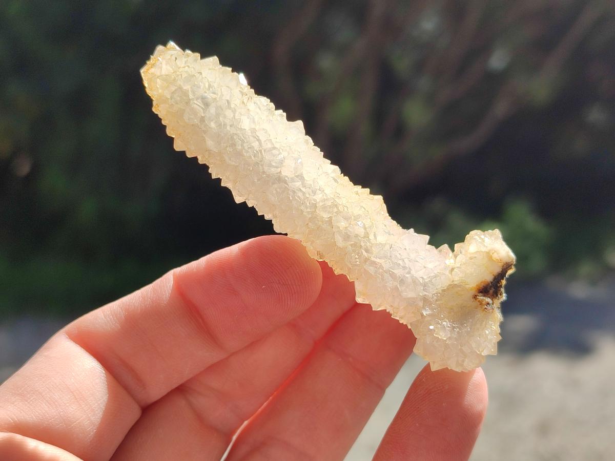 Natural Drusy Snow Finger Crystals x 24 From Albert's Mountain, Lesotho - Toprock Gemstones and Minerals 