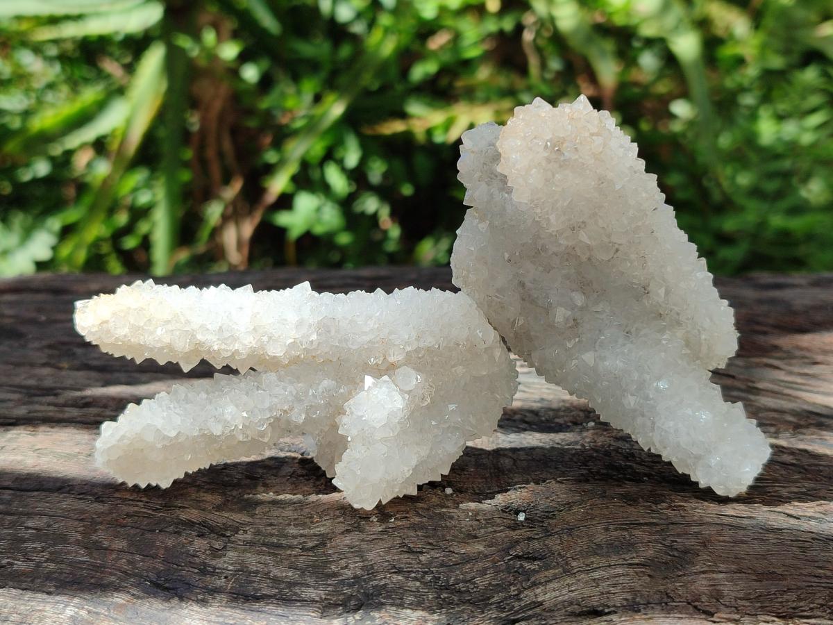 Natural Drusy Snow Finger Crystals x 24 From Albert's Mountain, Lesotho - Toprock Gemstones and Minerals 