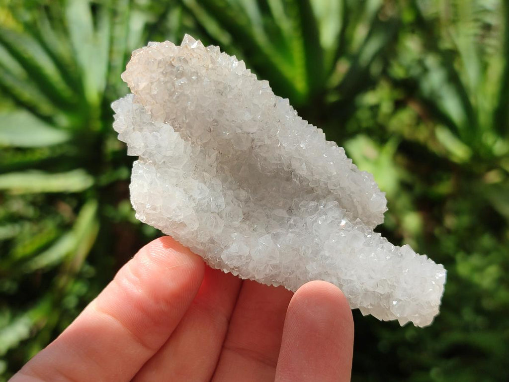Natural Drusy Snow Finger Crystals x 24 From Albert's Mountain, Lesotho - Toprock Gemstones and Minerals 