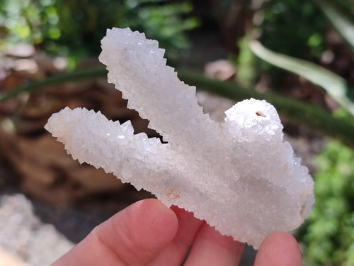 Natural Drusy Snow Finger Crystals x 24 From Albert's Mountain, Lesotho - Toprock Gemstones and Minerals 