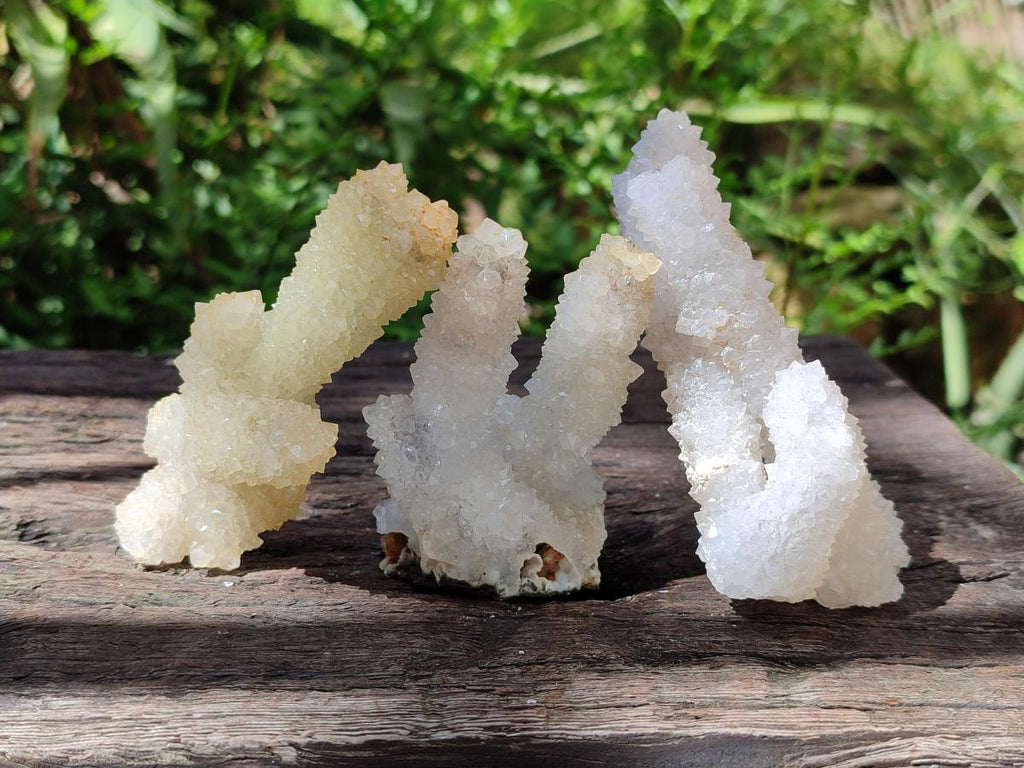 Natural Drusy Snow Finger Crystals x 24 From Albert's Mountain, Lesotho - Toprock Gemstones and Minerals 