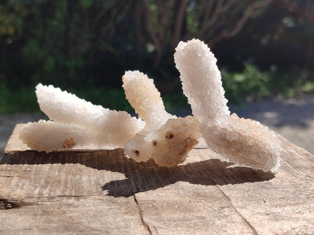 Natural Drusy Snow Finger Crystals x 24 From Albert's Mountain, Lesotho - Toprock Gemstones and Minerals 