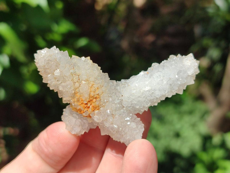Natural Drusy Snow Finger Crystals x 24 From Albert's Mountain, Lesotho - Toprock Gemstones and Minerals 