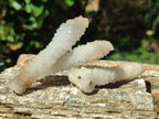 Natural Drusy Snow Finger Crystals x 24 From Albert's Mountain, Lesotho - Toprock Gemstones and Minerals 