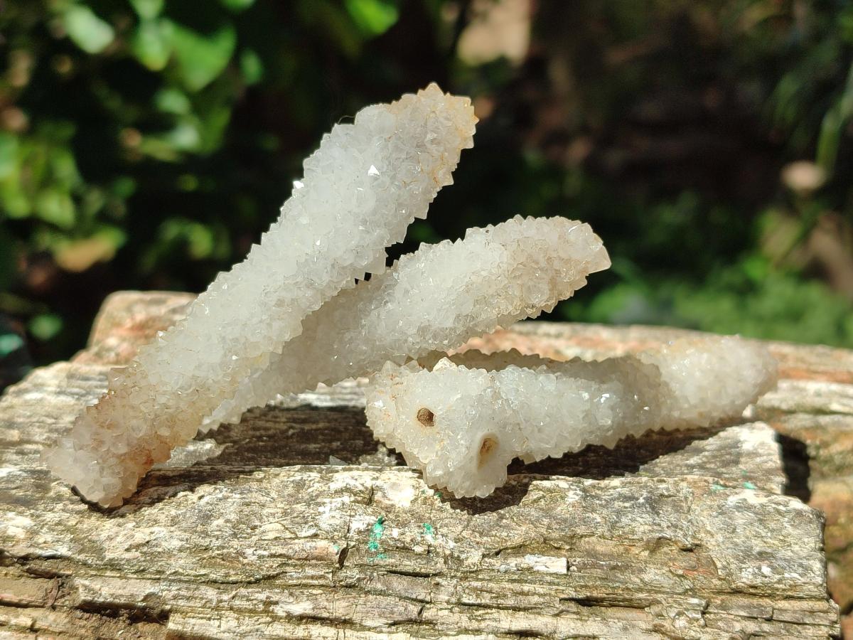 Natural Drusy Snow Finger Crystals x 24 From Albert's Mountain, Lesotho - Toprock Gemstones and Minerals 