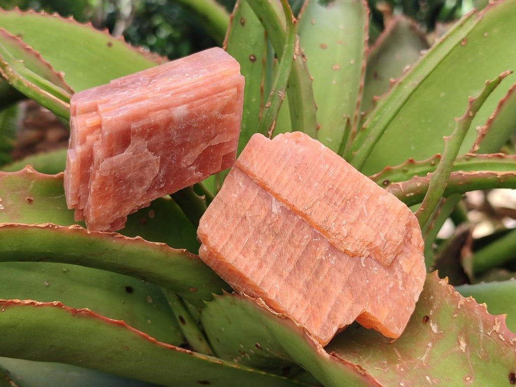 Natural Rhombohedral Sunset Orange Calcite Specimens x 12 From Spitzkop, Namibia - Toprock Gemstones and Minerals 