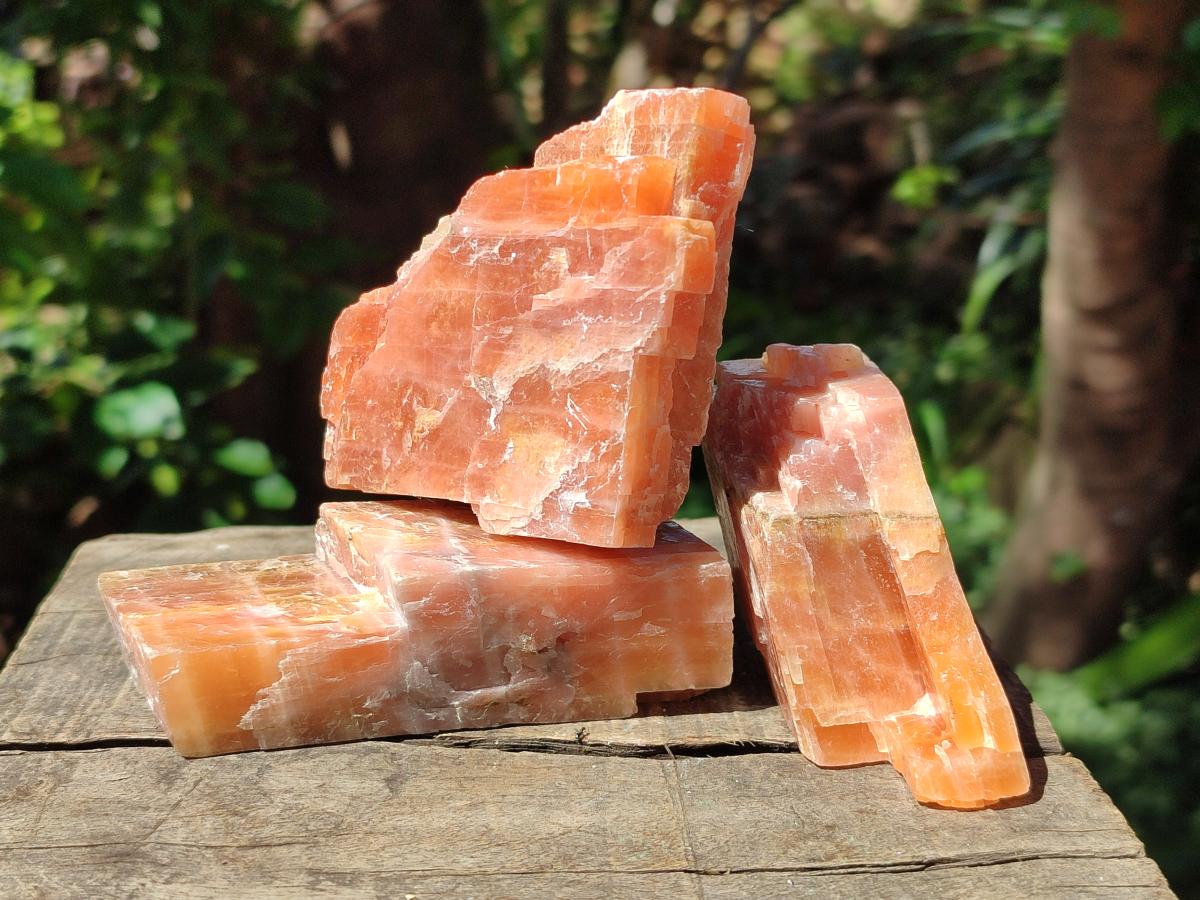 Natural Rhombohedral Sunset Orange Calcite Specimens x 12 From Spitzkop, Namibia - Toprock Gemstones and Minerals 