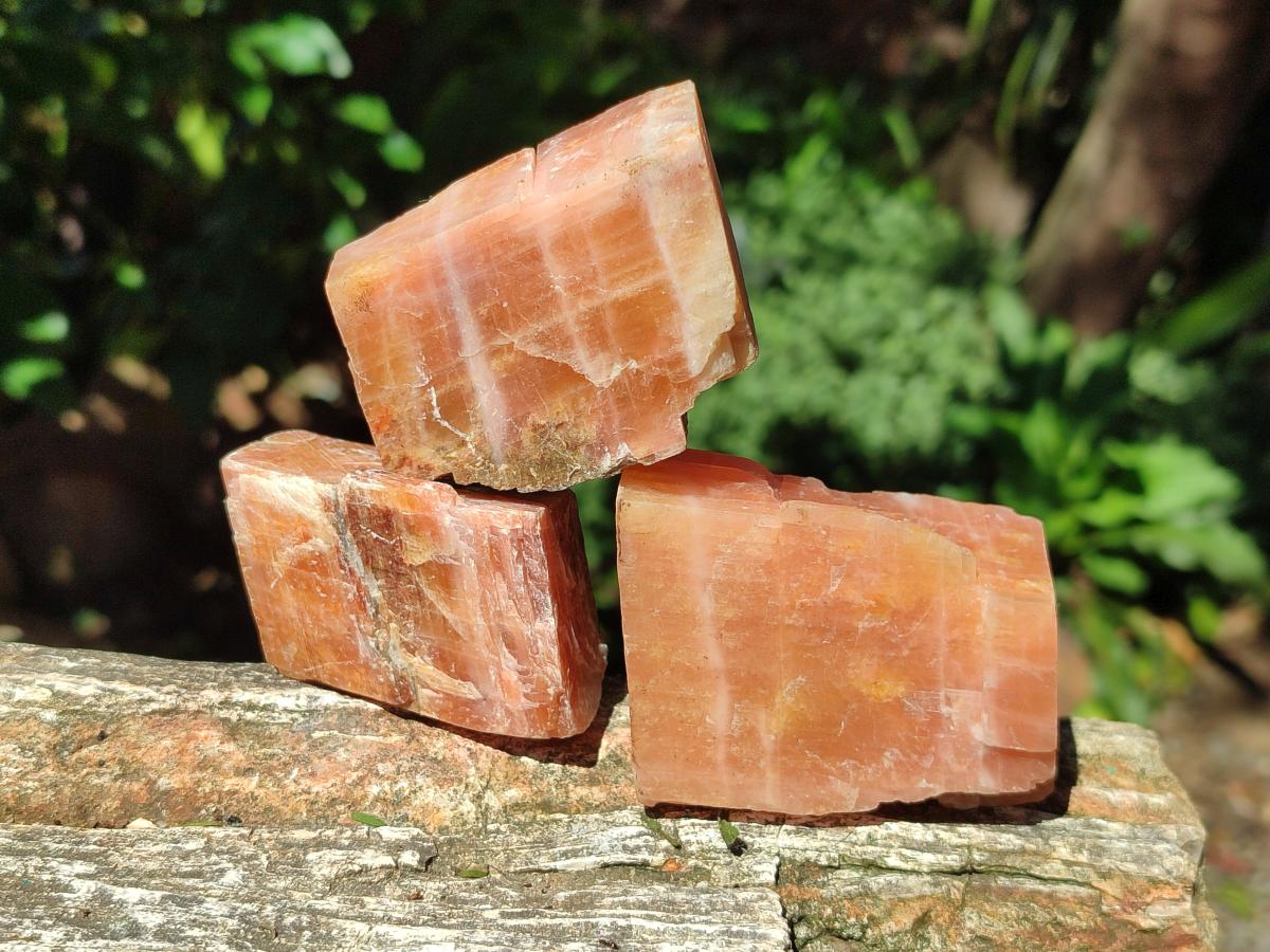 Natural Rhombohedral Sunset Orange Calcite Specimens x 12 From Spitzkop, Namibia - Toprock Gemstones and Minerals 