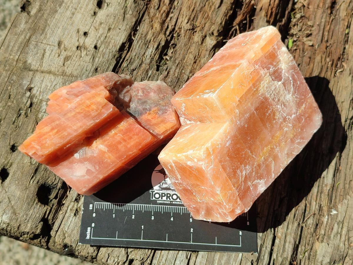 Natural Rhombohedral Sunset Orange Calcite Specimens x 12 From Spitzkop, Namibia - Toprock Gemstones and Minerals 