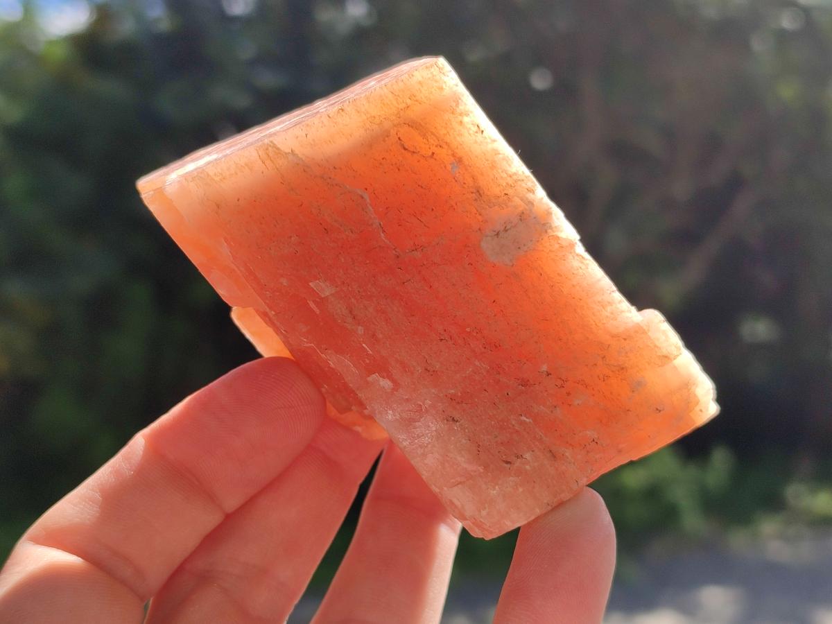 Natural Rhombohedral Sunset Orange Calcite Specimens x 12 From Spitzkop, Namibia - Toprock Gemstones and Minerals 
