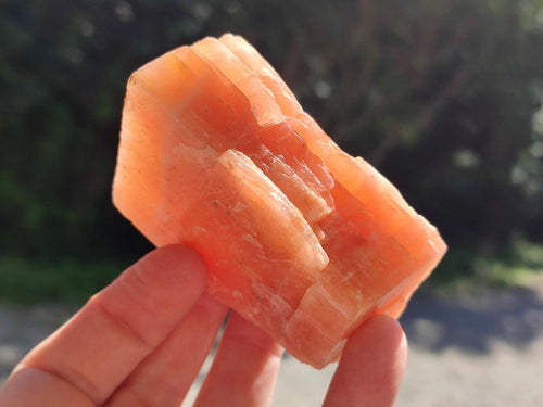 Natural Rhombohedral Sunset Orange Calcite Specimens x 12 From Spitzkop, Namibia - Toprock Gemstones and Minerals 