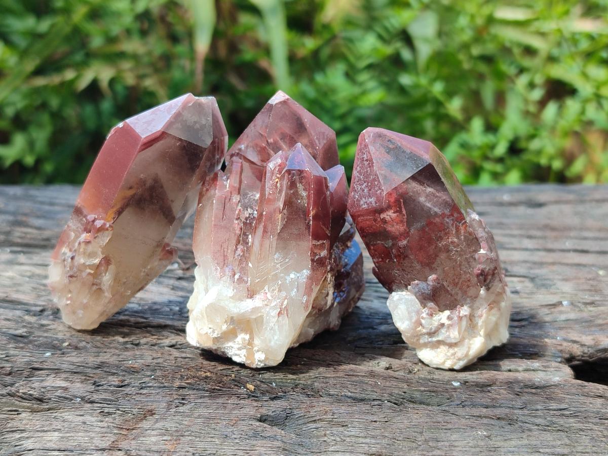 Natural Red Hematoid Quartz Crystal Clusters x 12 From Karoi, Zimbabwe - Toprock Gemstones and Minerals 