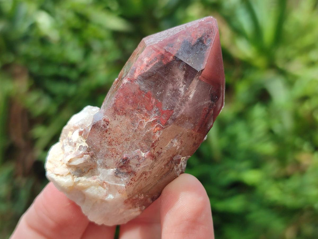 Natural Red Hematoid Quartz Crystal Clusters x 12 From Karoi, Zimbabwe - Toprock Gemstones and Minerals 