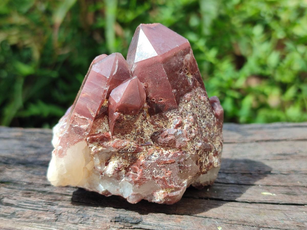 Natural Red Hematoid Quartz Crystal Clusters x 12 From Karoi, Zimbabwe - Toprock Gemstones and Minerals 