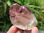 Natural Red Hematoid Quartz Crystal Clusters x 12 From Karoi, Zimbabwe - Toprock Gemstones and Minerals 