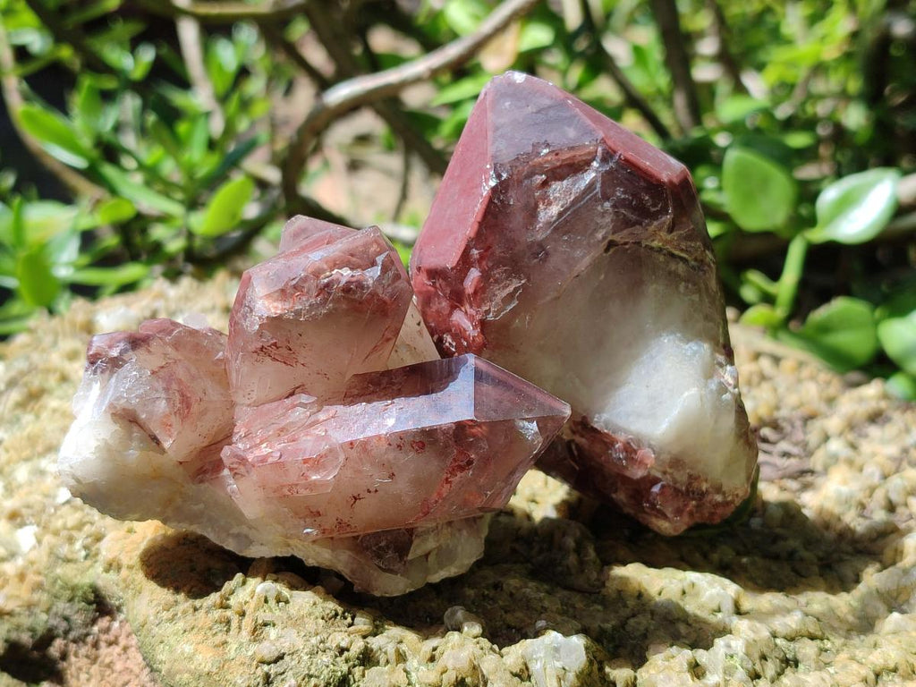 Natural Red Hematoid Quartz Crystal Clusters x 12 From Karoi, Zimbabwe - Toprock Gemstones and Minerals 