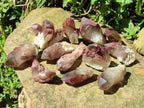 Natural Red Hematoid Quartz Crystal Clusters x 12 From Karoi, Zimbabwe - Toprock Gemstones and Minerals 