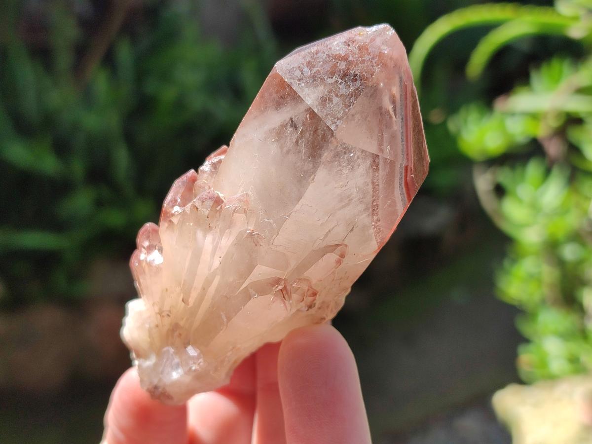 Natural Red Hematoid Quartz Crystal Clusters x 12 From Karoi, Zimbabwe - Toprock Gemstones and Minerals 