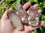 Natural Red Hematoid Quartz Crystal Clusters x 12 From Karoi, Zimbabwe - Toprock Gemstones and Minerals 