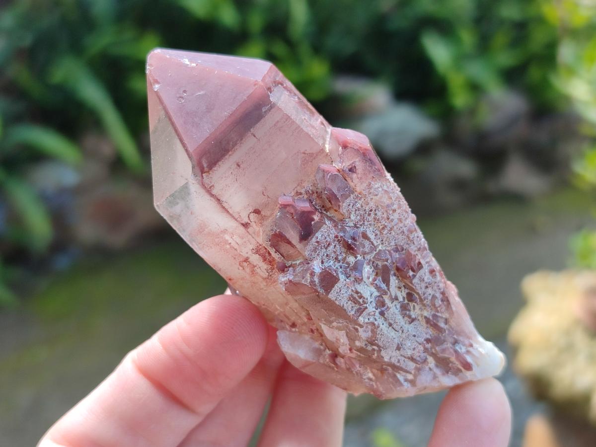 Natural Red Hematoid Quartz Crystal Clusters x 12 From Karoi, Zimbabwe - Toprock Gemstones and Minerals 