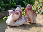 Natural Red Hematoid Quartz Crystal Clusters x 12 From Karoi, Zimbabwe - Toprock Gemstones and Minerals 