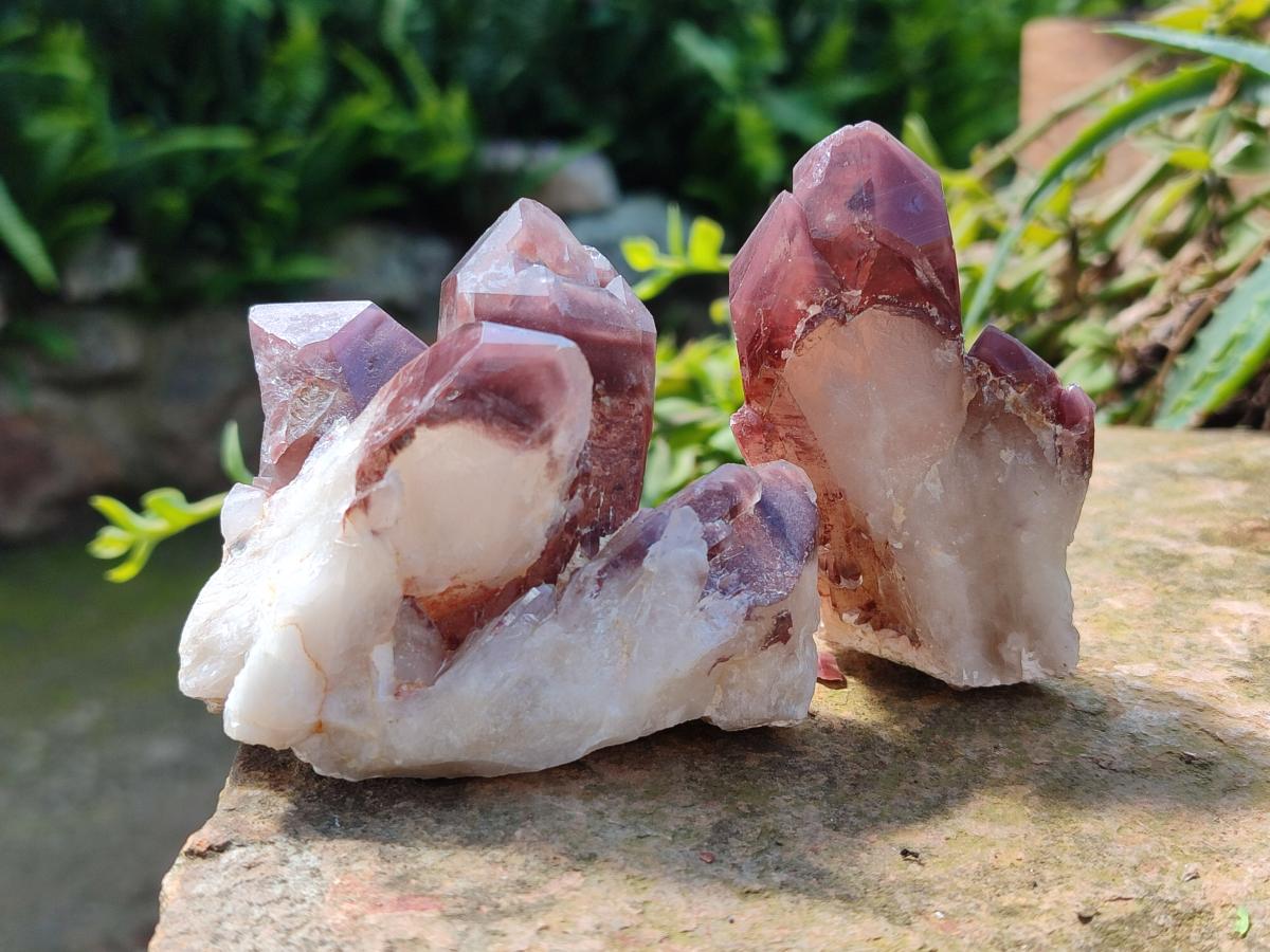 Natural Red Hematoid Quartz Crystal Clusters x 12 From Karoi, Zimbabwe - Toprock Gemstones and Minerals 