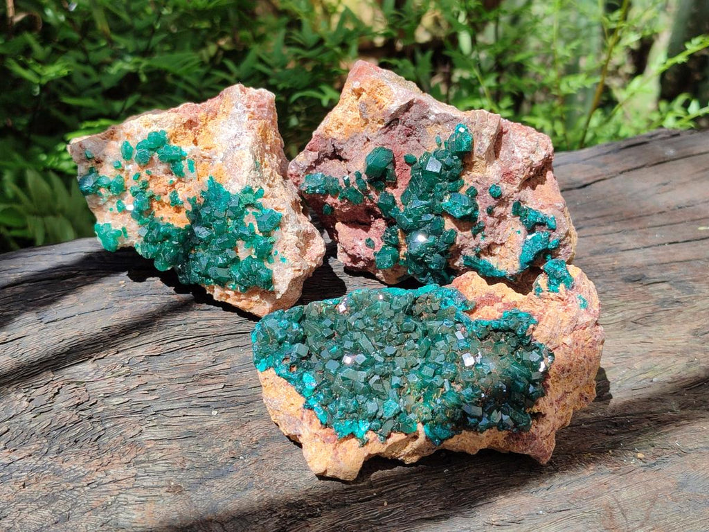 Natural Dioptase on Dolomite Specimens x 3 From Likasi, Congo - Toprock Gemstones and Minerals 
