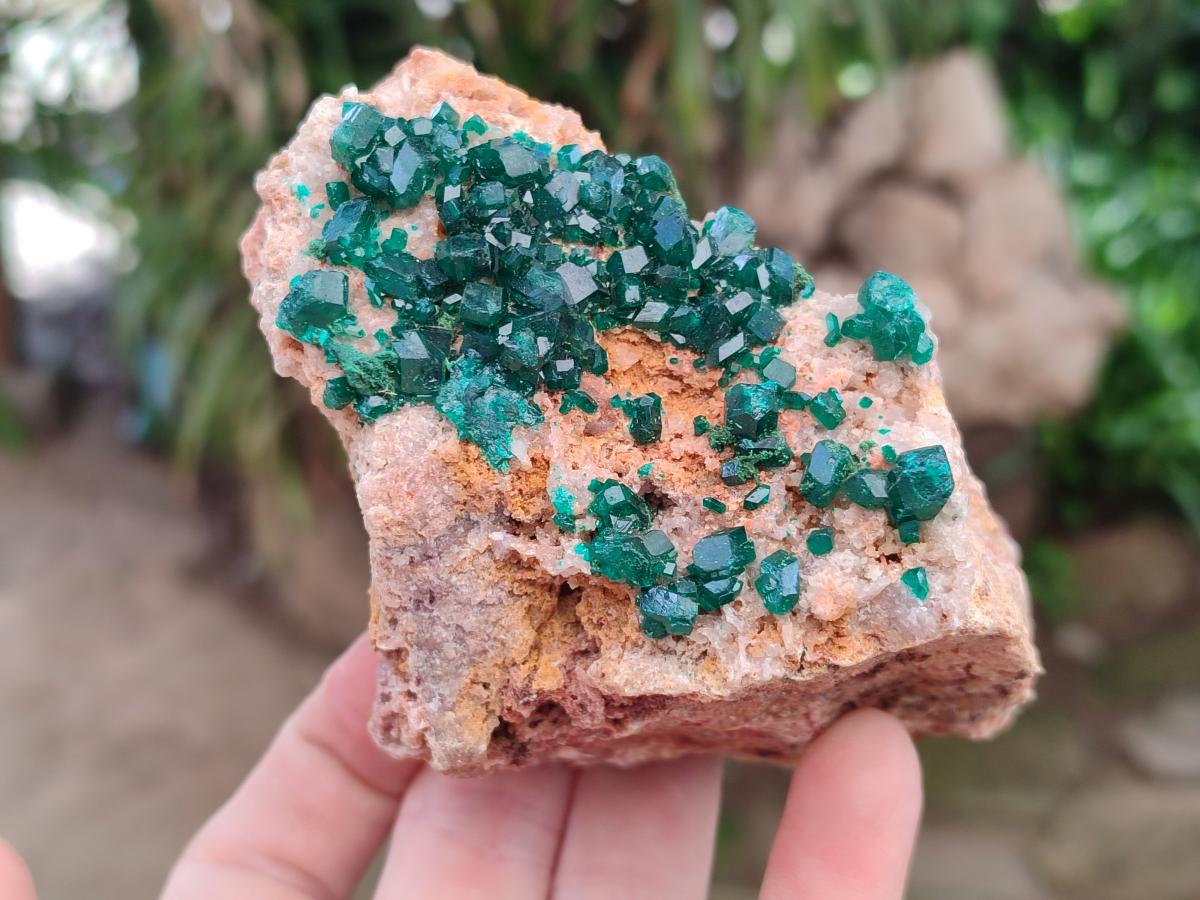 Natural Dioptase on Dolomite Specimens x 3 From Likasi, Congo - Toprock Gemstones and Minerals 
