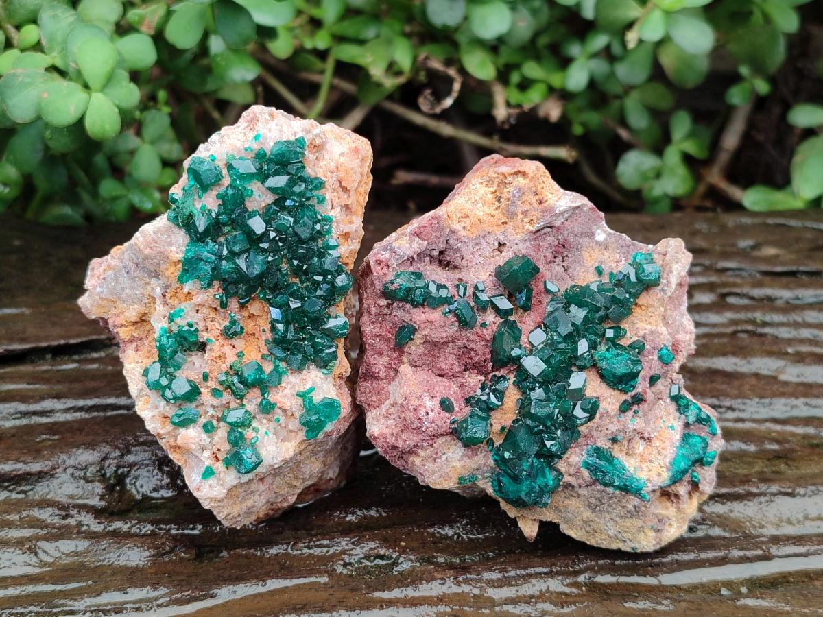 Natural Dioptase on Dolomite Specimens x 3 From Likasi, Congo - Toprock Gemstones and Minerals 