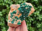 Natural Dioptase on Dolomite Specimens x 3 From Likasi, Congo - Toprock Gemstones and Minerals 
