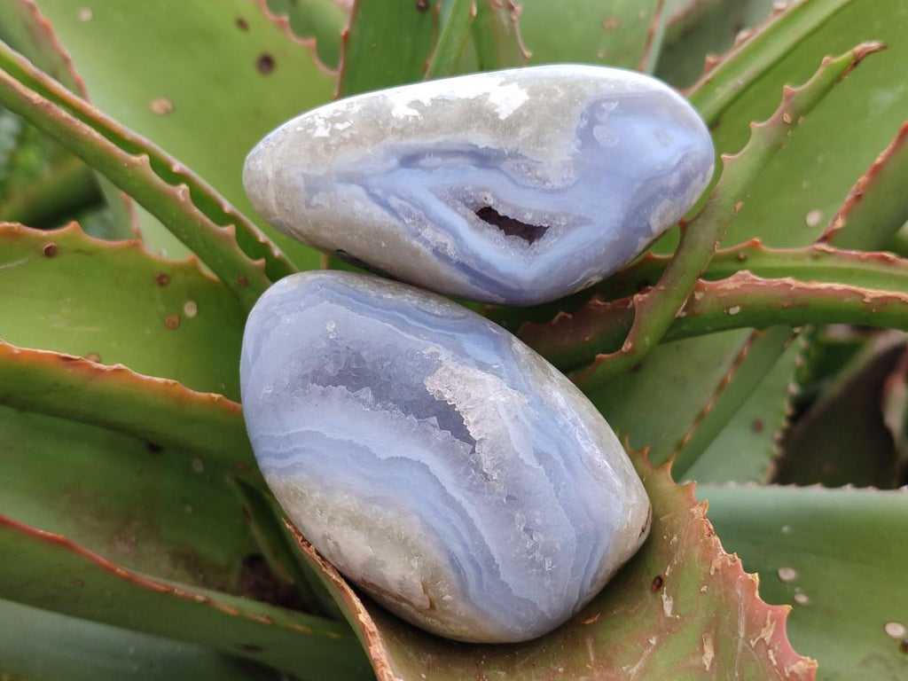 Polished Blue Lace Agate Free Forms x 10 From Nsanje, Malawi - Toprock Gemstones and Minerals 