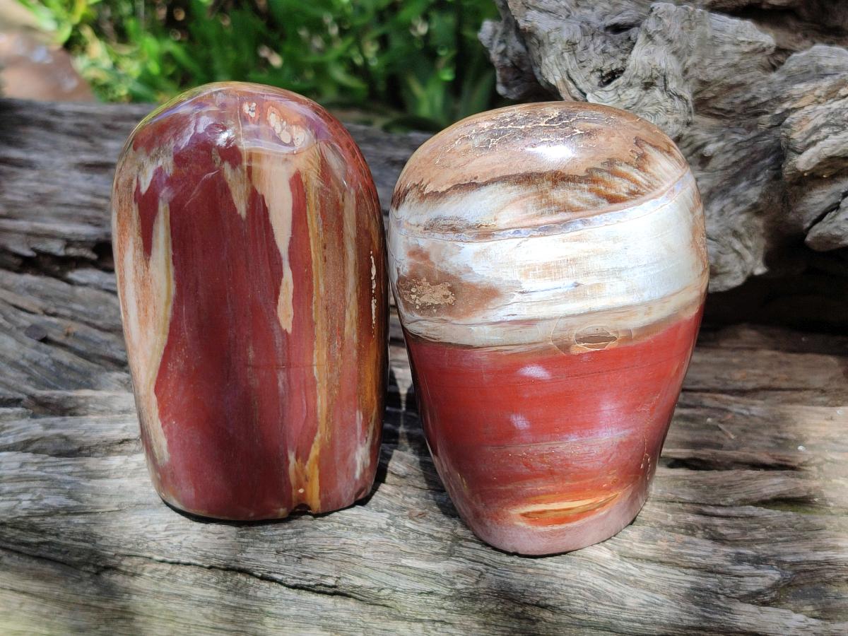 Polished Red Podocarpus Petrified Wood Standing Free Forms x 3 From Mahajanga, Madagascar - Toprock Gemstones and Minerals 