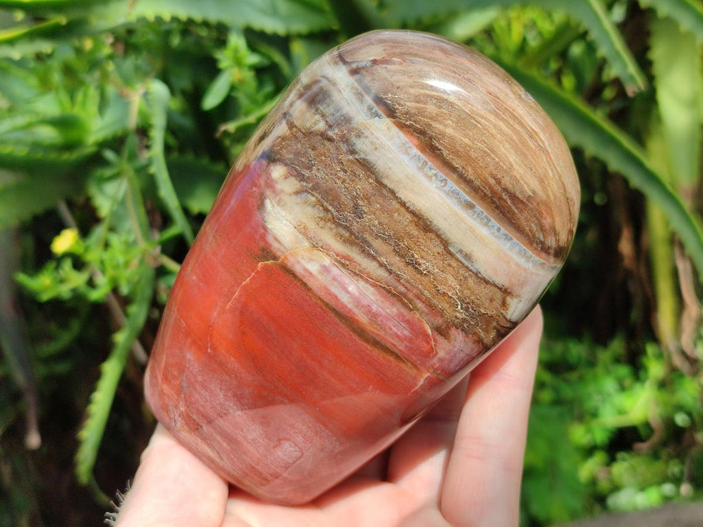 Polished Red Podocarpus Petrified Wood Standing Free Forms x 3 From Mahajanga, Madagascar - Toprock Gemstones and Minerals 