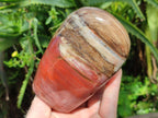 Polished Red Podocarpus Petrified Wood Standing Free Forms x 3 From Mahajanga, Madagascar - Toprock Gemstones and Minerals 