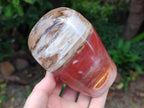 Polished Red Podocarpus Petrified Wood Standing Free Forms x 3 From Mahajanga, Madagascar - Toprock Gemstones and Minerals 