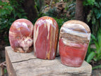 Polished Red Podocarpus Petrified Wood Standing Free Forms x 3 From Mahajanga, Madagascar - Toprock Gemstones and Minerals 