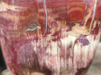 Polished Red Podocarpus Petrified Wood Standing Free Forms x 3 From Mahajanga, Madagascar - Toprock Gemstones and Minerals 