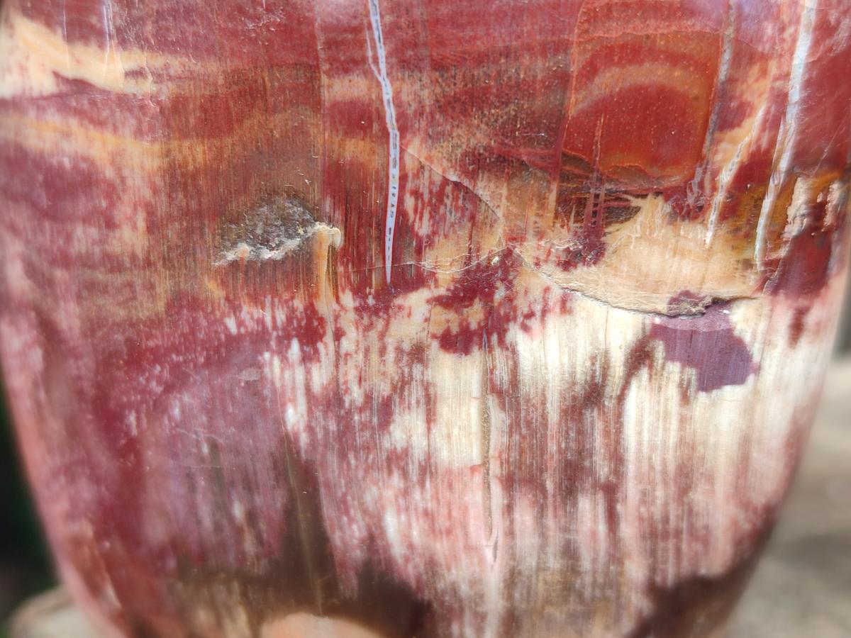 Polished Red Podocarpus Petrified Wood Standing Free Forms x 3 From Mahajanga, Madagascar - Toprock Gemstones and Minerals 