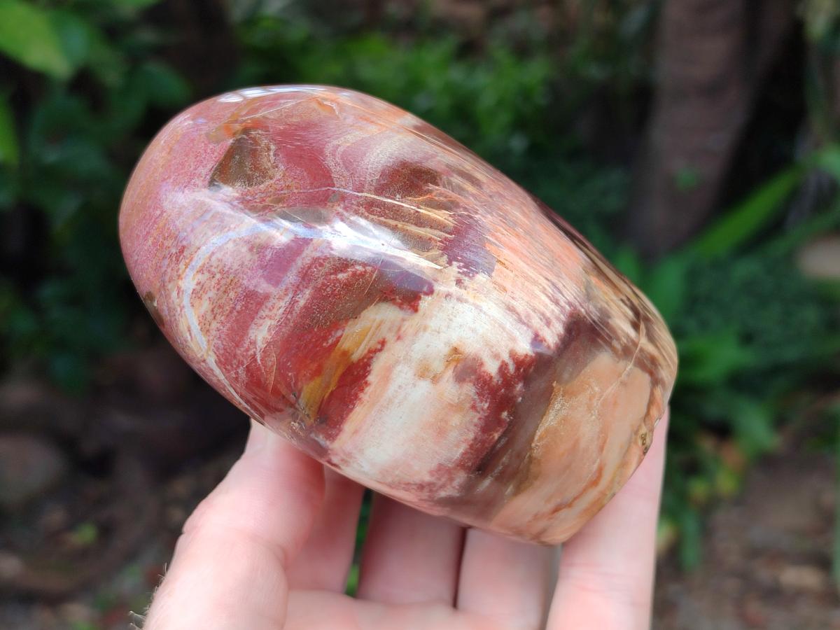 Polished Red Podocarpus Petrified Wood Standing Free Forms x 3 From Mahajanga, Madagascar - Toprock Gemstones and Minerals 