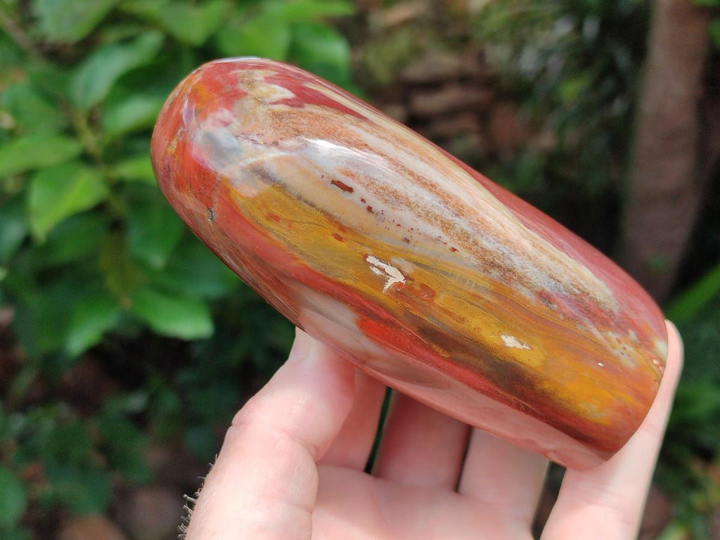 Polished Red Podocarpus Petrified Wood Standing Free Forms x 3 From Mahajanga, Madagascar - Toprock Gemstones and Minerals 