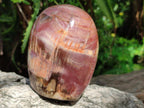 Polished Red Podocarpus Petrified Wood Standing Free Forms x 3 From Mahajanga, Madagascar - Toprock Gemstones and Minerals 